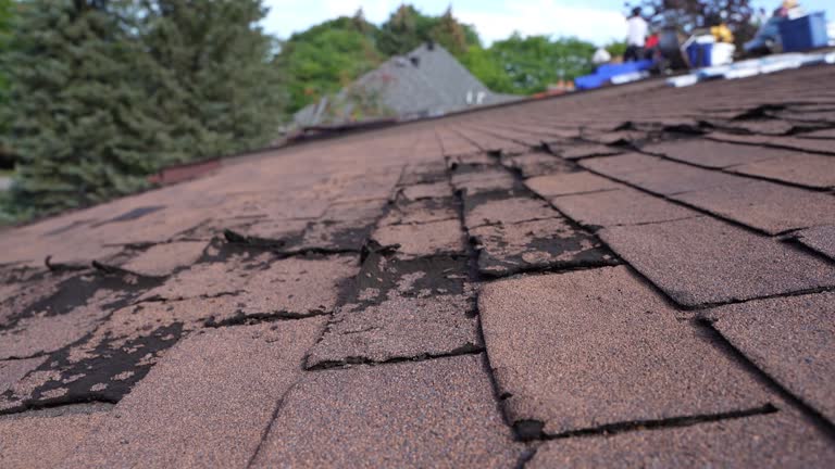 Best Roof Insulation Installation  in South Wenatchee, WA