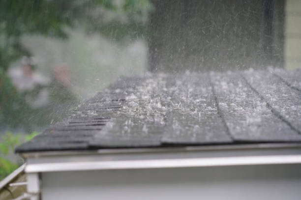 Best Solar Panel Roofing Installation  in South Wenatchee, WA